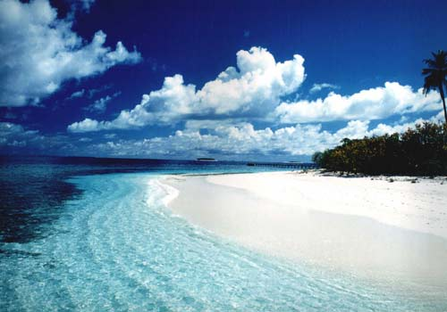 A Maldive island