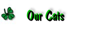 Our Cats