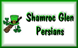 Shamroc Glen Link