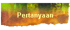 Pertanyaan