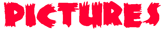 pictures.gif (14064 bytes)