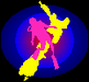 Dive NZ 