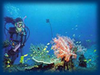 Swinburne Scuba Club