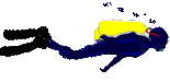 NAUI