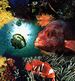 Dive Sites