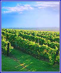 Hunter Valley