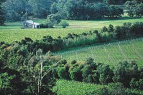 Margaret River