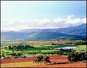 yarra Valley
