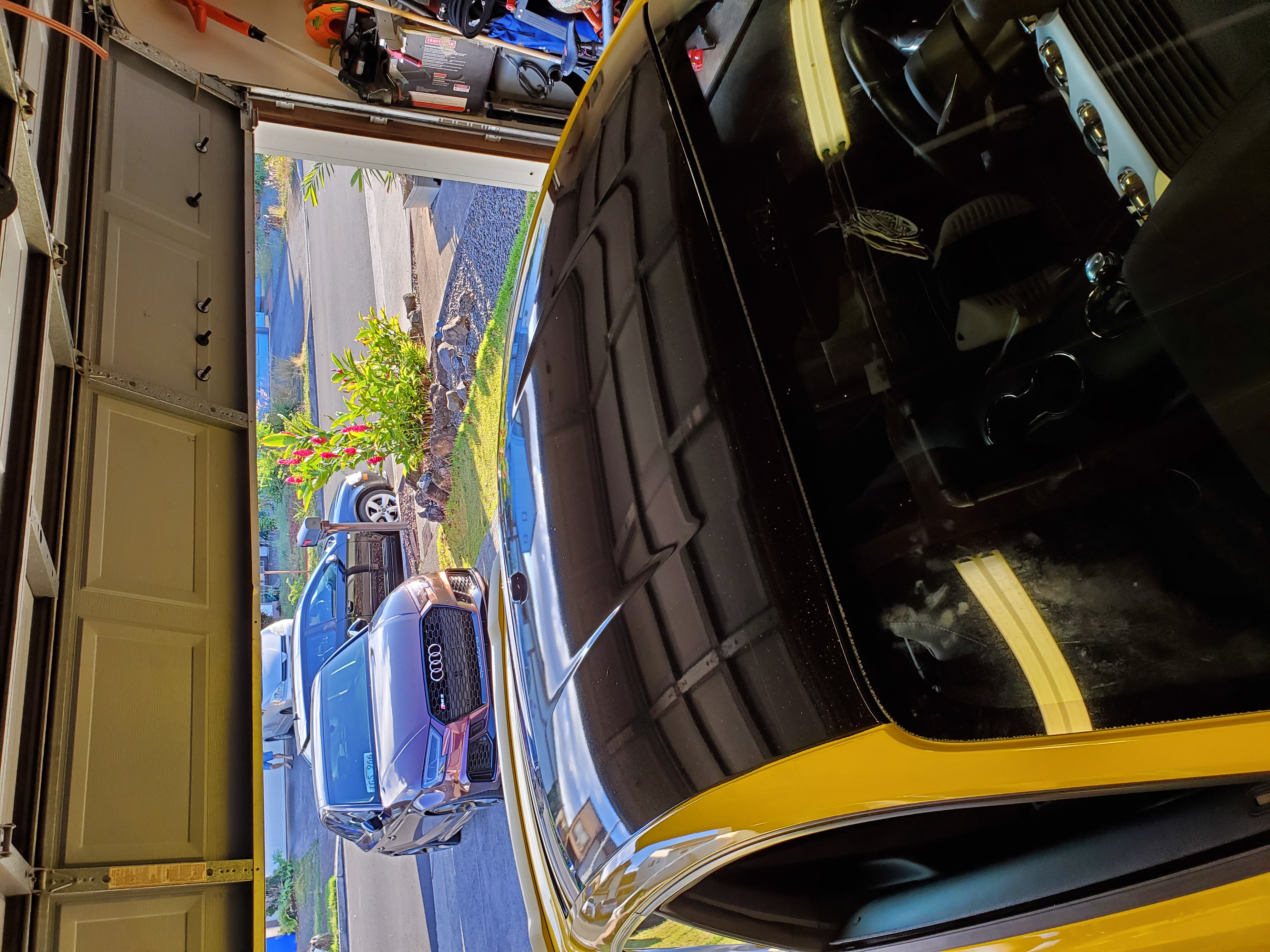 Mustang Black Roof