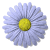 flow2.gif (12818 bytes)