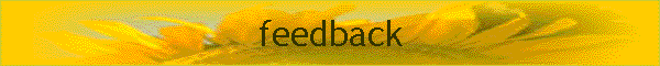 feedback