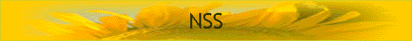 NSS