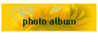 photo album