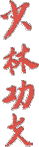 Shaolin Kung Fu