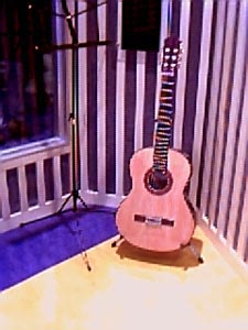 Guitar