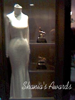 Shania's White Grammy Dress