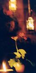 Garden at night - Spring 2001
