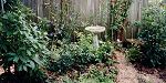 Sunny part of garden - Summer 2001