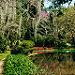 McClay Gardens, Tallahassee