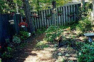 Photo of backyard after landscaping (18K)