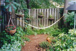 Photo of Backyard spring 2002 (21K)