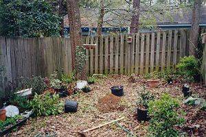 Photo of backyard before landscaping (20K)