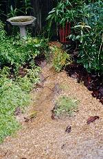 Photo of erosian control channel (13K)