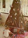 Palm Christmas Tree