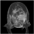 _moonface.jpg (2273 bytes)