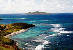 buckisl_anim.gif (56069 bytes)