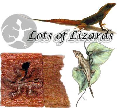 lizardcollage.jpg (29491 bytes)