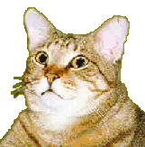 tine_transparent.gif (14756 bytes)