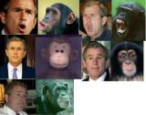 bush,nwo