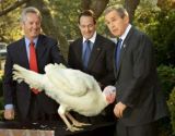 bush,nwo