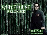 reloaded
