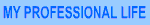 My Professional Life