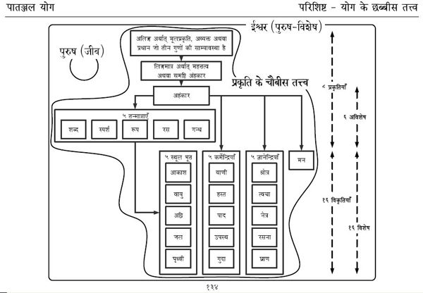 Diagram of Samkhya Hierarchy at a glance