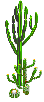 This interesting group is trying to make cultivation of these cactus from brazil more popular there photo in here