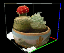 another cacti encyclopedia
