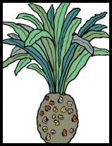 click here for information on cycads