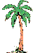 this is a nice site on a palm trees and about a botanical garden in Florida
