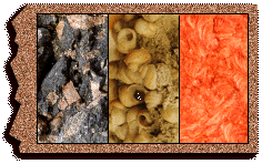 all about sedimentary rocks