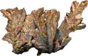 300 commom mineral types