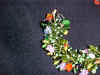 forestfringe1.jpg (120978 bytes)