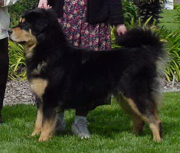 MAGGIE 2003 REGIONAL BOS
