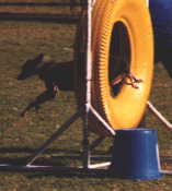 Minky Tyre