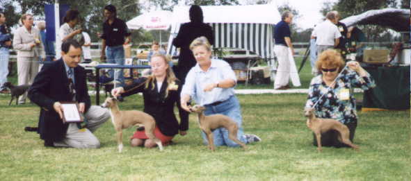 Ralph Sire and Progeny 99 IG Specialty