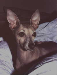 MINKY