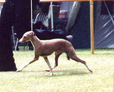 Poss movement 2