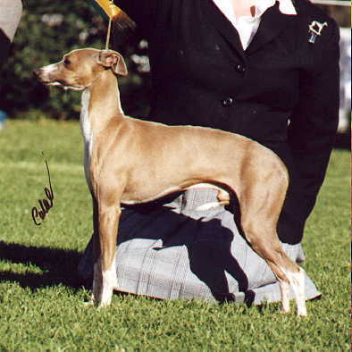 Ralph KuRing Gai-Best in Group